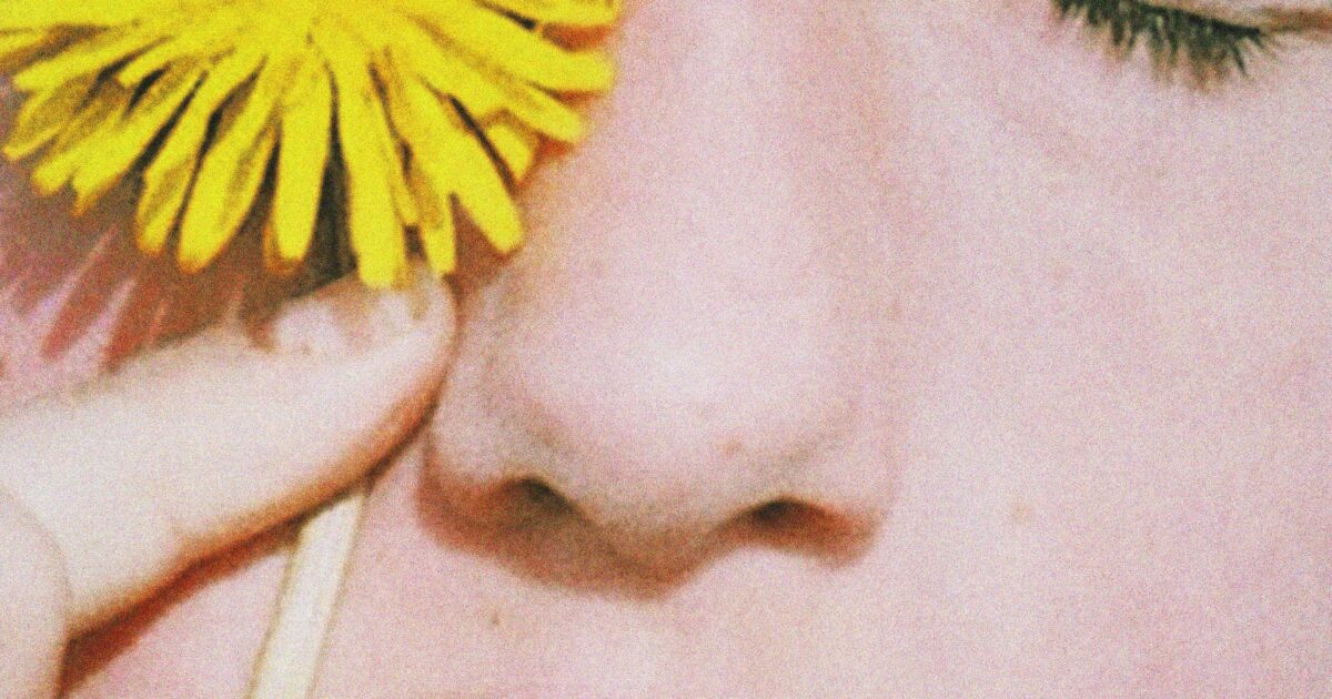 Fryd Frydendahl, Mælkebøtte (Dandelion)