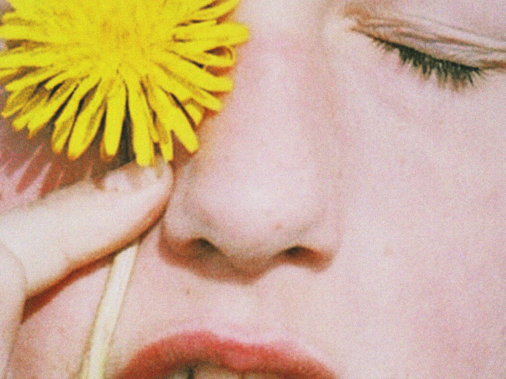 Fryd Frydendahl, Mælkebøtte (Dandelion)