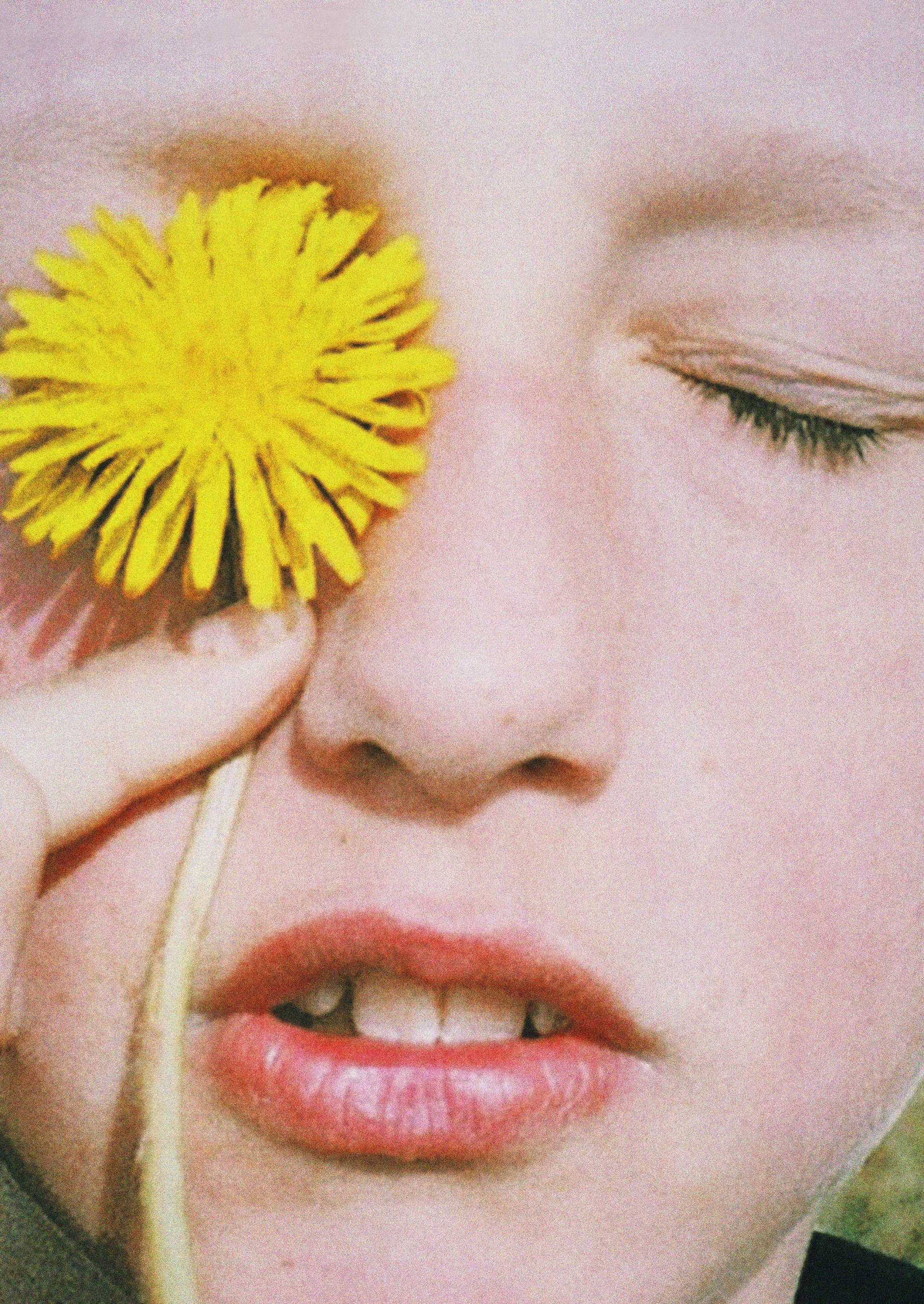 Fryd Frydendahl, Mælkebøtte (Dandelion)